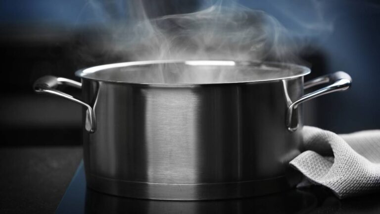 panela a vapor